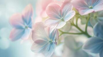 AI generated Beautiful flowers background with soft focus and pastel color filter. photo