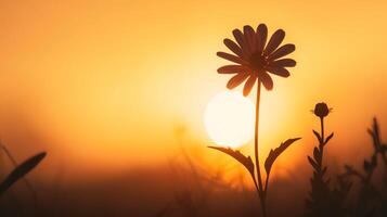 ai generado hermosa flor en el prado a puesta de sol. foto