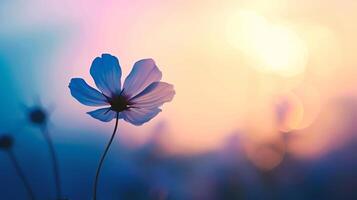 ai generado hermosa flor en el prado a puesta de sol. foto