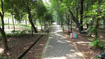 erkunden Jakartas gelora Spund Karno Park von das Himmel mit Drohne Filmaufnahme. sehen ikonisch Sehenswürdigkeiten, geschäftig Straßen, und heiter Morgen Aktivitäten. perfekt Platz zu Start Ihre Tag video