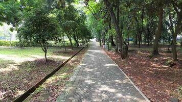 erkunden Jakartas gelora Spund Karno Park von das Himmel mit Drohne Filmaufnahme. sehen ikonisch Sehenswürdigkeiten, geschäftig Straßen, und heiter Morgen Aktivitäten. perfekt Platz zu Start Ihre Tag video