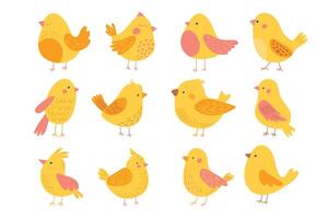 Set of different cute yellow birds. vector