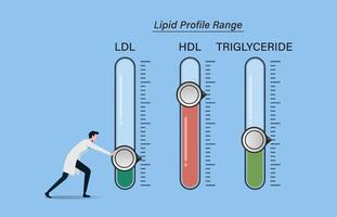 maintain optimal lipid profile levels or range. Reduces the risk of heart and degenerative diseases. Healthcare provider try to lowering blood lipids. Healthy lifestyles vector