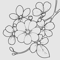 simple drawing lines of a realistic flower perched on branch flower vector