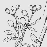 simple drawing lines of a realistic flower perched on branch flower vector