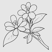 simple drawing lines of a realistic flower perched on branch flower vector