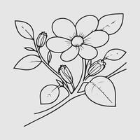 simple drawing lines of a realistic flower perched on branch flower vector