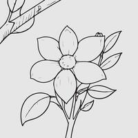 simple drawing lines of a realistic flower perched on branch flower vector