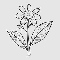 sencillo dibujo líneas de un realista flor encaramado en rama flor vector