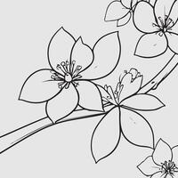 simple drawing lines of a realistic flower perched on branch flower vector