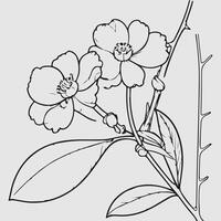 simple drawing lines of a realistic flower perched on branch flower vector