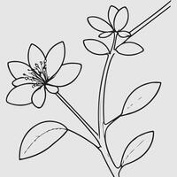 simple drawing lines of a realistic flower perched on branch flower vector