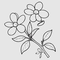 simple drawing lines of a realistic flower perched on branch flower vector