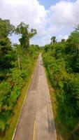 fpv zangão voar sobre uma tropical estrada. video