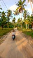 Frau Reiten ein Roller durch das Straße gefüttert mit Kokosnuss Palme Bäume auf Insel. video