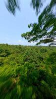 uma dinâmico fpv zangão voar sobre denso tropical floresta tropical dentro tailândia. video