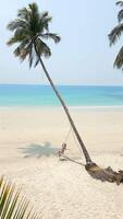A woman swinging on a coconut palm tree at an idyllic island retreat in Thailand video