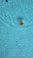 aéreo ver de un joven mujer nadando en el piscina en lento movimiento. video