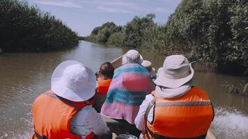 une groupe de touristes est voile dans une bateau sur le rivière. personnes âgées tourisme. touristes dans la vie vestes. video