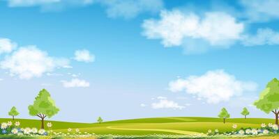 ambiental fondo primavera paisaje con árbol flor en parque, vector ilustración pueblo escena verde césped prado en colina con nube azul cielo, naturaleza granja césped campo en jardín en soleado día verano