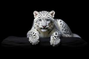 ai generado de cerca retrato de un blanco Tigre mirando directamente a el espectador, generativo ai foto