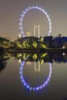 Singapore, Singapore, 2014 - Gardens by the Bay at night, Singapore, Asia photo