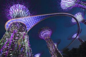 Singapore, Singapore, 2014, Gardens by the Bay at night, Singapore, Asia photo