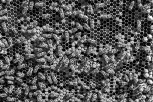 La estructura hexagonal abstracta es un panal de abejas lleno de colmena foto