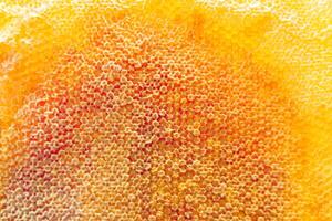 Drop of bee honey drip from hexagonal honeycombs filled with golden nectar photo