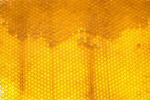 Drop of bee honey drip from hexagonal honeycombs filled with golden nectar photo