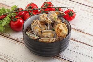 Vongole shellfish mollusc clem with butter photo