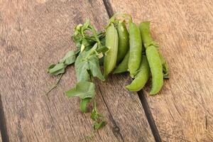 Ripe green pea - organic pant photo