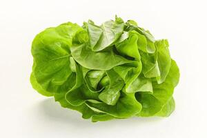 Salad leaves heap for snack photo