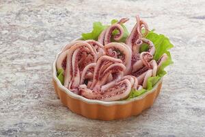 Marinated squid tentacles in the bowl photo