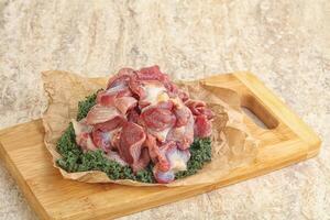 Raw chicken stomach for cooking photo