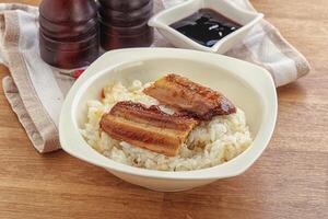 Roasred eel with steamed rice photo