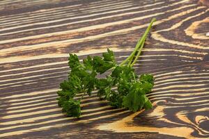 Green parsley leaves heap isolated photo