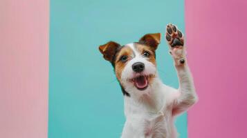 ai generado linda perro dando alto cinco en pastel color antecedentes. monería, aceptar, perrito foto