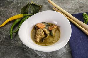 Thai green curry soup with basil photo