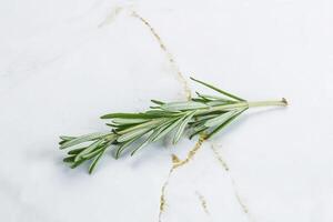 Rosemary branch - organic spicy herb photo