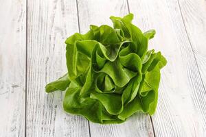 Salad leaves heap for snack photo