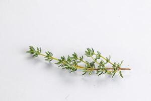 Aroma seasoning thyme stem with leaves photo