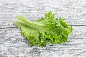 Ripe green salad lettuce leaf photo