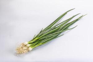 Young aroma fresh green onion photo