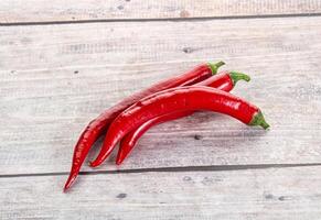 Hot and spicy chili pepper photo