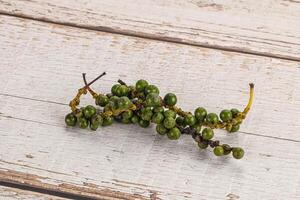 Green pepper corn heap isolated photo