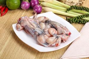 Delicous fresh raw uncooked frog photo