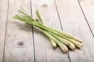 Lemongrass - Asian aroma plant for cooking photo