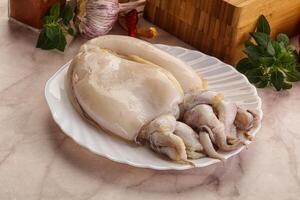 Raw fresh cuttlefish for cooking photo