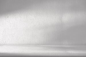 blanco pared estudio fondo.vacío gris habitación antecedentes con luz, hojas sombra en mesa parte superior superficie textura, telón de fondo Bosquejo monitor podio diseño para mostrando producto presente de cosmético bandera foto